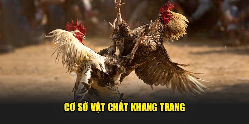 Cơ sở vật chất khang trang