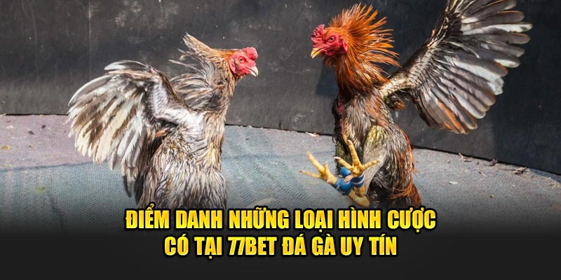 Điểm danh những loại hình cược có tại 77bet đá gà uy tín