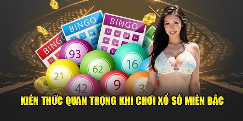 Kiến thức quan trọng khi chơi xổ số miền Bắc 